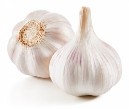 Garlic,Isolated,On,White,Background,Clipping,Path
