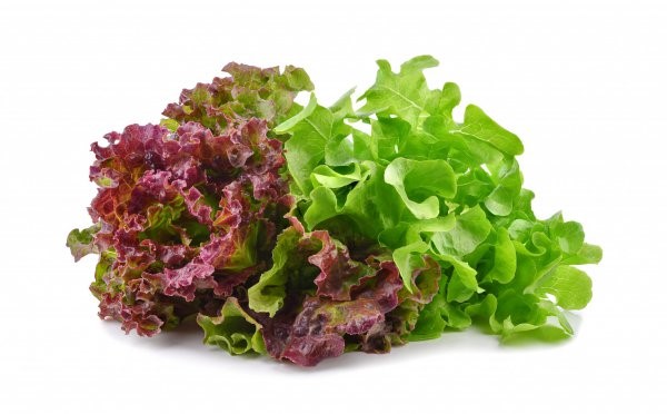 Fresh,Red,And,Green,Lettuce,Isolated,On,White,Background.