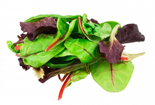 Mixed,Salad,Baby,Red,Leaf,,Baby,Spinach,&,Red,Chard