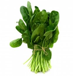 Fresh,Green,Spinach,Tied,On,White,Background