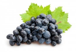 Black,Grapes,Isolated
