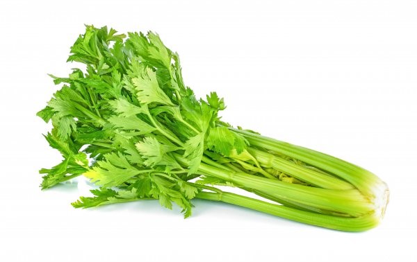 Fresh,Celery,Isolated,On,White,Background