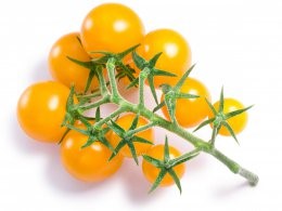 Cherry,Tomatoes,On,The,Vine,(tov),,Lemon,Yellow.,Clipping,Paths,
