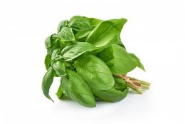 Sweet,Basil,Herb,Leaves,Bunch,Isolated,On,White,Background.,Sweet