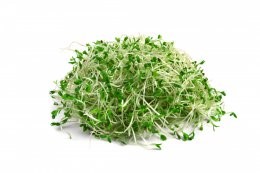 Heap,Of,Alfalfa,Sprouts,Isolated,On,White