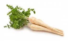 Parsley,Root,Path,Isolated